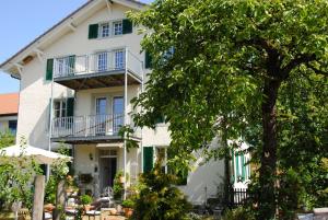 a white house with a tree in front of it at Business Apartment in Derendingen in Derendingen