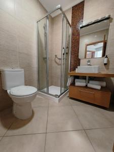 a bathroom with a toilet and a shower and a sink at Sagres Time Apartamentos in Sagres