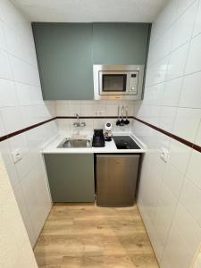 una piccola cucina con lavello e microonde di Triana Confort Sevilla a Siviglia