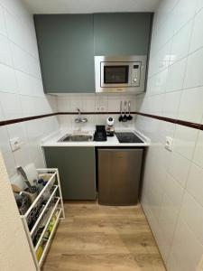 una piccola cucina con lavello e microonde di Triana Confort Sevilla a Siviglia Altre 15 foto