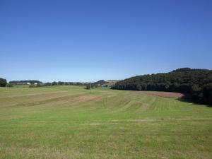 Naturlandschaft in der Nähe der Ferienwohnung