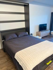 安塞热Studio élégant rénové avec vue à Anzère的一间卧室配有一张大床和电视