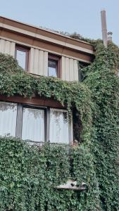 パランガにあるP7 Apartments Palangaのギャラリーの写真 +8枚の写真