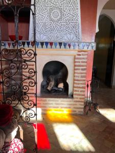 Domácí mazlíčci ubytovaní s hosty v ubytování Un rêve à Marrakech