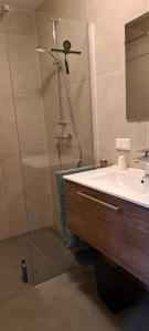 a bathroom with a shower and a sink at B&B De Blauwe Melkbus in Harskamp