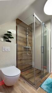 ein Badezimmer mit Toilette und Glasdusche in der Unterkunft Haus an der Sieber in Herzberg am Harz + 42 Fotos