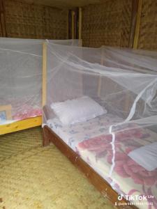 1 dormitorio con 2 camas y mosquitera en Weaver Bird Hostel, en Rubanda