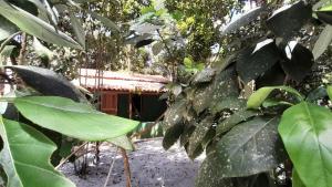 Um jardim em Chalés Guigó-Cumuruxatiba, sossego e privacidade