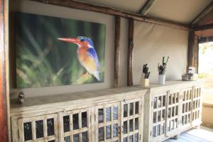 a colorful bird sitting on top of a television screen at Kubu & Kwena Lodge in Katima Mulilo