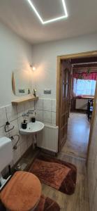 a bathroom with a sink and a toilet in a room at Gospodarstwo Agroturystyczne u Ani in Krośnica +67 photos