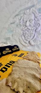 Foto dalla galleria di Hotel of Ice Transylvania a Cîrţişoara