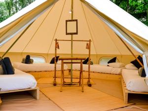 Sainte-Gemme-sur-LoireLodg'ing Nature Camp Anjou的相册照片
