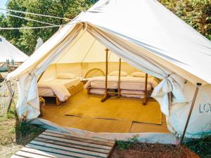 Sainte-Gemme-sur-LoireLodg'ing Nature Camp Anjou的相册照片