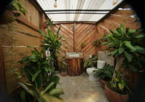 a bathroom with a bunch of plants and a toilet at Wallaby Glamping in Silvania