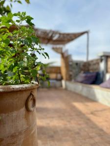 Fotografie z fotogalerie ubytování Riad privatisé le Flottement des Songes v destinaci Oulad Akkou