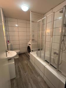 a bathroom with a shower and a sink and a toilet at Apartment Ruhepause II Ruhig & Komfortabel in Bad Bentheim