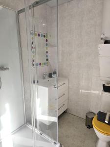 a bathroom with a shower and a sink and a toilet at Studio Paimpol centre historique in Paimpol