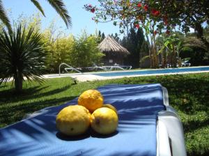 Fotografia z galérie ubytovania Bungalows Puravida v destinácii Zahora