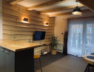 a kitchen with a counter and a tv on a wall at domek alepjski in Rymanów-Zdrój
