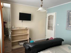 salon z kanapą i telewizorem z płaskim ekranem w obiekcie Dom Pod Sosną w mieście Karpacz