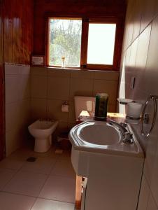 un bagno con lavandino e WC di Cabañas monoambiente La Generosa LP a Lago Puelo