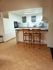 Kuchyňa alebo kuchynka v ubytovaní Luxus Apartment KFJ