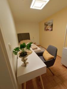 Televízia a/alebo spoločenská miestnosť v ubytovaní Luxus Apartment KFJ