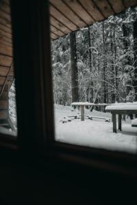 Roztomilá a utulná chata Azzy na samotě v lese. v zime