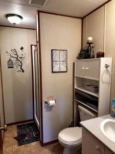 a bathroom with a toilet and a sink at Oasis du grand fond Inc in La Malbaie