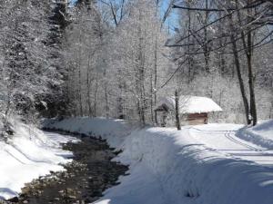 a snow covered path next to a creek with a cabin at Edelweiß Hörnerbahnen von Mai bis Oktober frei in Obermaiselstein +12 photos