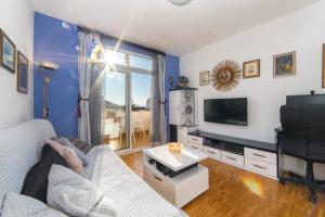 TV a/nebo společenská místnost v ubytování Apartment Stipe