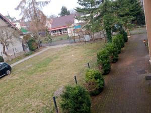 Taman di luar Dom na kurzej Łapce