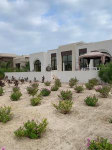 Zahrada ubytování Tulip Star Hawana