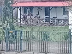 ein Zaun vor einem Haus mit einer Veranda in der Unterkunft Villa na Krótkiej in Sulęcin