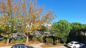Billede fra billedgalleriet på Charmant appartement cœur de ville avec terrasse aménagée privée i La Teste-de-Buch