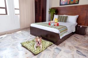Кровать или кровати в номере TAMA Hotel Granada Real Cali