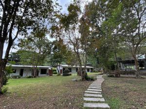 a stepping stone path in a yard with trees at Niche Khaoyai in Ban Tha Maprang