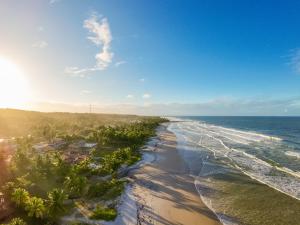 an aerial view of a beach with palm trees and the ocean at Casa Pé na Areia a 10m da Praia! Imperdível! in Olivença