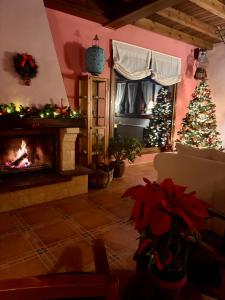 un soggiorno con un albero di Natale e un camino di El Balcón De Alboreca a Sigüenza
