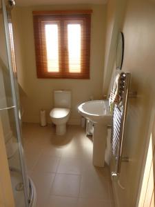 a bathroom with a toilet and a sink and a mirror at Glen House Annexe in Bourne