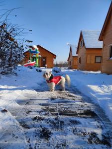 MIODOWA SADYBA Domki całoroczne Kluczbork v zimě