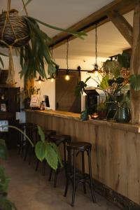 Fotografie z fotogalerie ubytování Hoeve BuytenHout v destinaci Delft