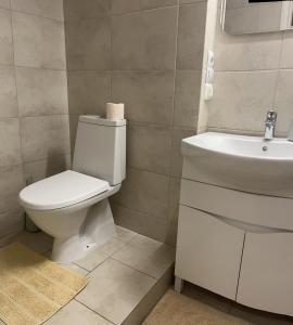 ein Badezimmer mit Toilette und Waschbecken in der Unterkunft Квартира в центральній частині Луцька in Luzk + 12 Fotos