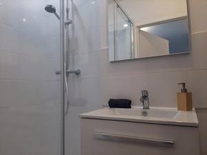 een badkamer met een wastafel en een spiegel bij Les Apparts de Marmande - Petit Cocon en ville in Marmande