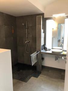 une salle de bain avec douche et lavabo dans l'établissement Maison bioclimatique, à Meyrals