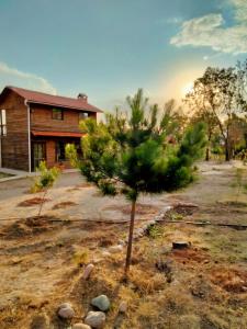 Φωτογραφία από το άλμπουμ του Eco Parque La Luciérnaga σε Estación Contadero