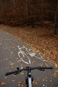 Galería fotográfica de Dwór Kolesin en Nowe Kramsko