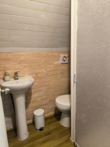 バルディビアにあるEcopods Playa Curiñancoの洗面台とトイレ付きのバスルーム