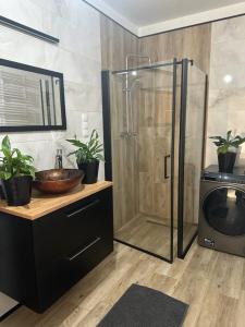 ein Badezimmer mit Dusche und Waschbecken sowie ein Fernseher in der Unterkunft Apartament z tarasem in Sanok + 15 Fotos