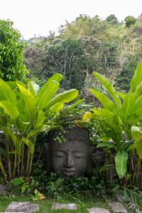 Serendipity Holistic Resort Spa外面的花园